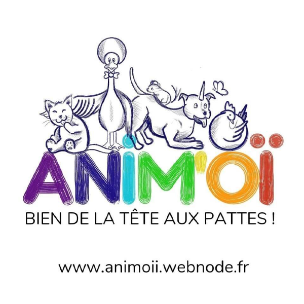 Animoi